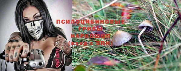 молекула духа Арсеньев