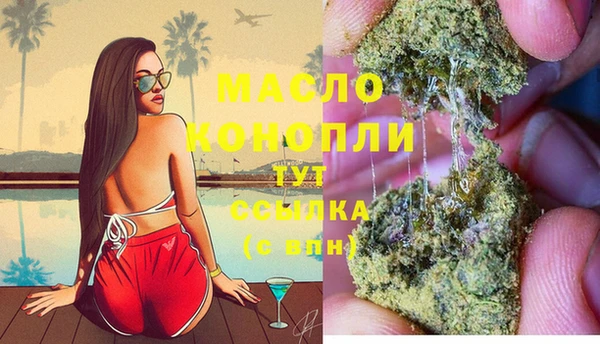 молекула духа Арсеньев