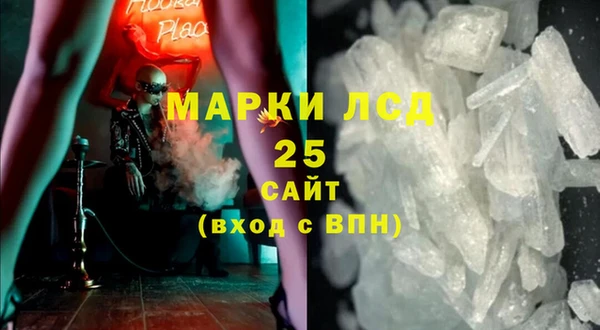 молекула духа Арсеньев