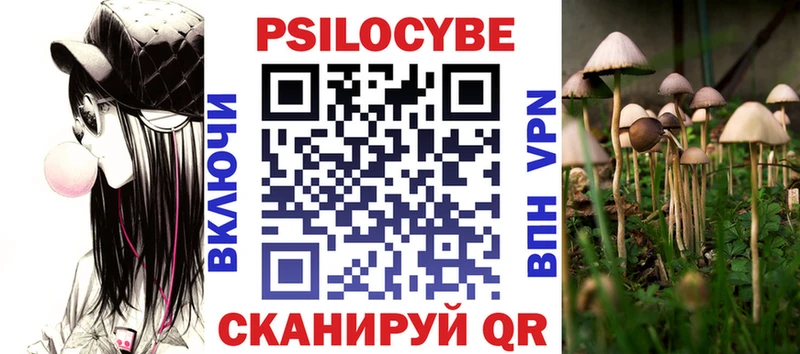 закладка  Миасс  Псилоцибиновые грибы Cubensis 